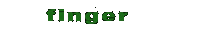 Finger